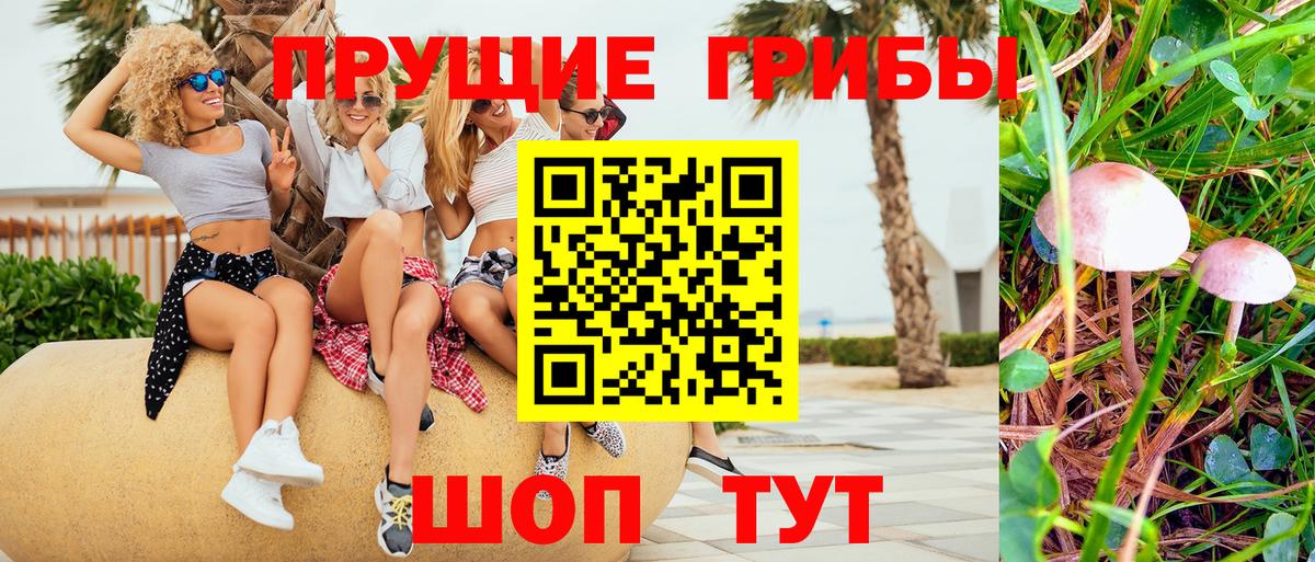 Псилоцибиновые грибы мицелий  Вход с VPN  Шахты 