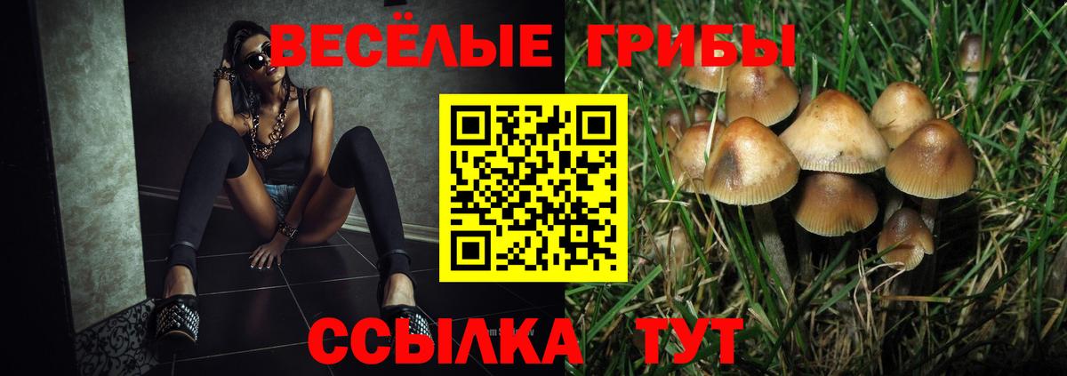 Галлюциногенные грибы GOLDEN TEACHER Шахты